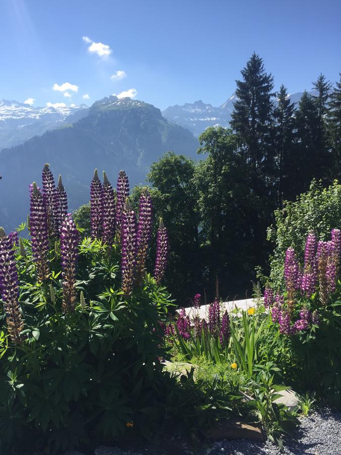 Hotel & Restaurant Stadthof Glarus Exterior foto