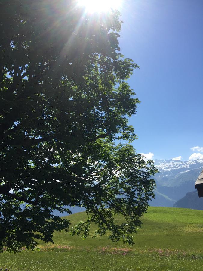 Hotel & Restaurant Stadthof Glarus Exterior foto